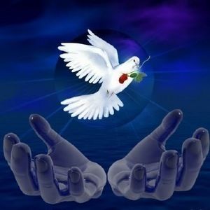 Meet your Posher, Ofelia